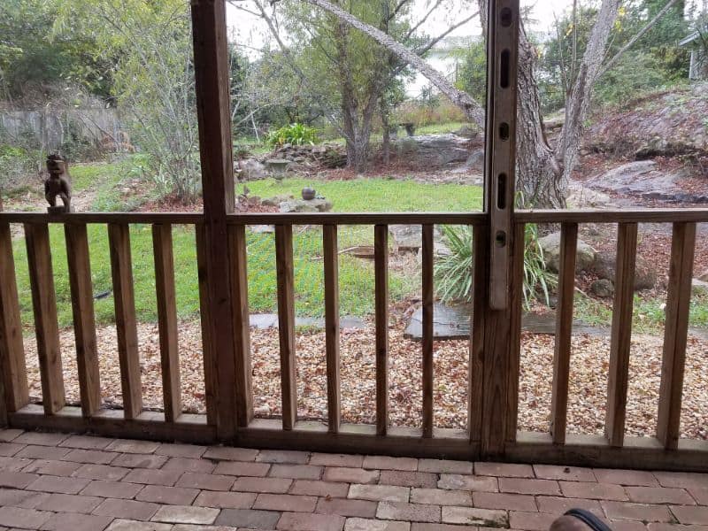 Natural backyard landscape with lush greenery and mature trees, viewed from a wooden porch, designed by John Russell Landscape Architect.