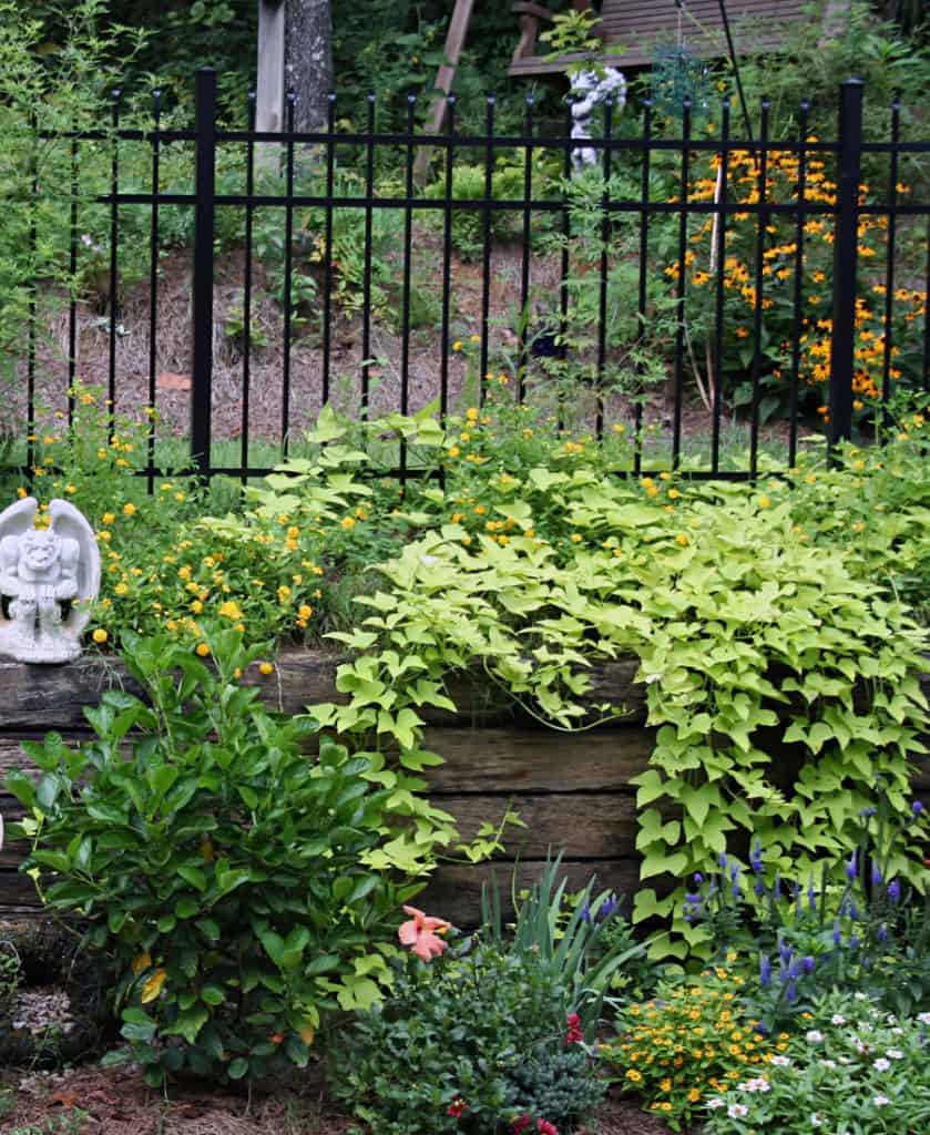 Gates and Fences in Birmingham AL