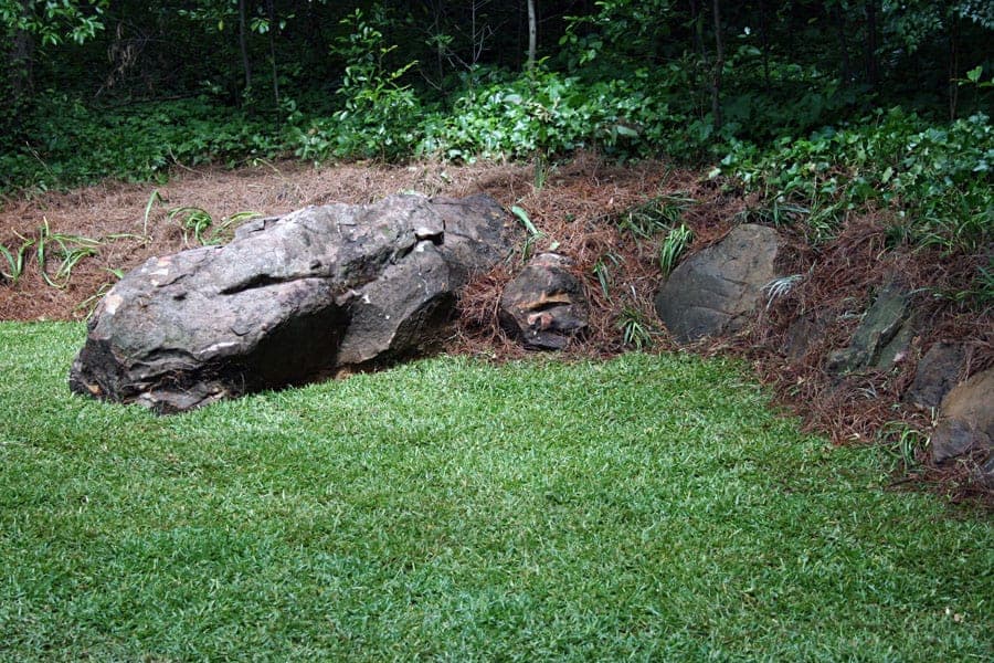 Large landscape boulder with natural plant border for outdoor garden design, showcasing professional landscape architecture by John Russell Landscape Architect.