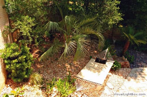 Luxurious backyard landscape featuring tropical palm trees and lush greenery, designed by John Russell Landscape Architect for a serene outdoor retreat.