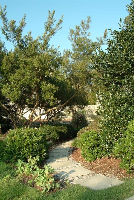 Lush garden landscape design featuring a winding stone pathway surrounded by mature trees and vibrant greenery, created by John Russell Landscape Architect.