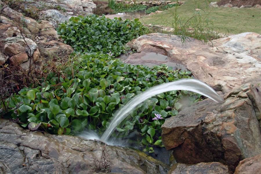 Water feature with cascading waterfall and lush green aquatic plants in a landscape design.