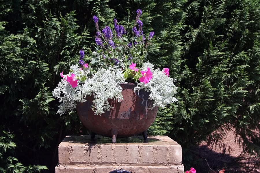 Brightly colored flower arrangement in a rustic planter against lush green foliage, showcasing expert landscape design by John Russell Landscape Architect.