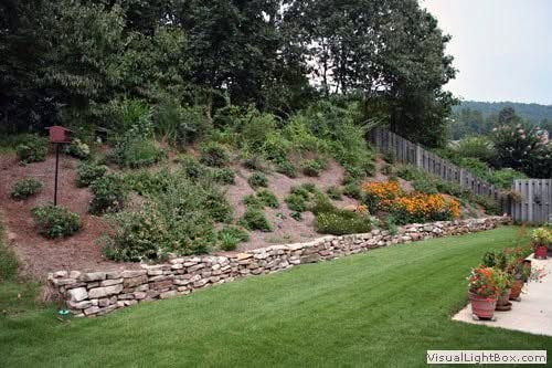 Lush landscaped backyard with tiered garden beds, stone retaining wall, vibrant flowering plants, and a well-maintained lawn designed by John Russell Landscape Architect.