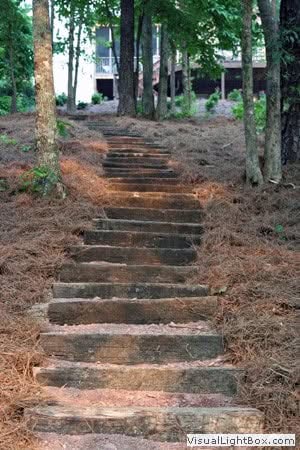 Natural stone staircase in wooded landscape setting, landscaping stairs design, outdoor garden pathway, durable wood steps, scenic backyard landscape architecture, garden stairway installation, landscape design expert.