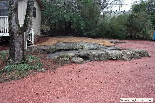 Natural rock landscape design with red mulch and mature trees in a backyard garden.