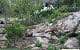 Lush rock garden landscape designed by John Russell Landscape Architect with native plants and stone features.