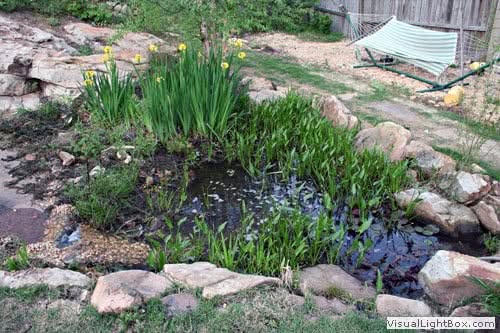 A lush garden pond surrounded by rocks with blooming plants, designed by John Russell Landscape Architect to enhance natural beauty and promote eco-friendly outdoor living.